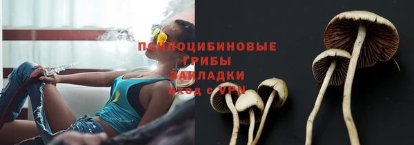 ECSTASY Алзамай