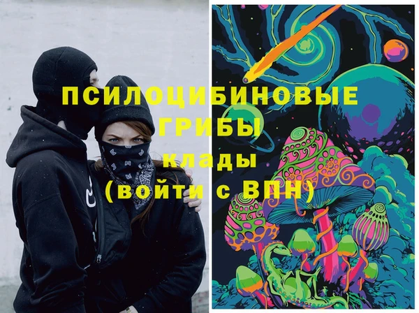 спиды Алексеевка