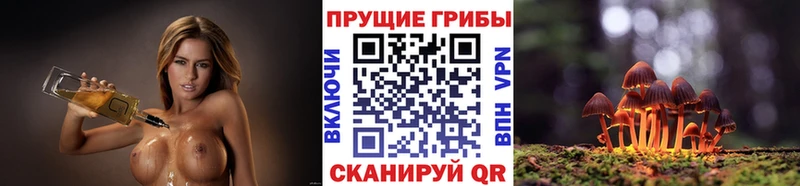 Купить где  Тамбов  Псилоцибиновые грибы Psilocybine cubensis 